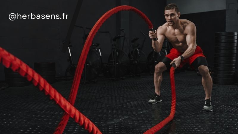 Les compléments alimentaires dans le sport