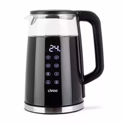 Bouilloire-Livoo-digitale