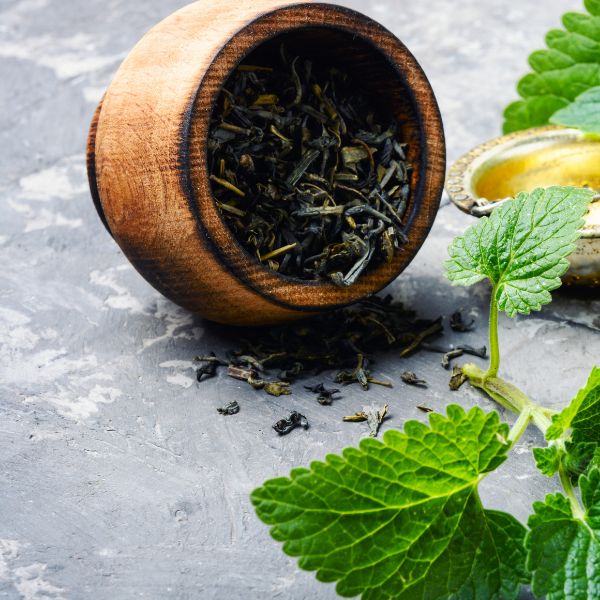 Herbasens 5 Design sans titre 1