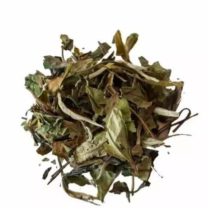 Thé blanc Pai Mu Tan Bio